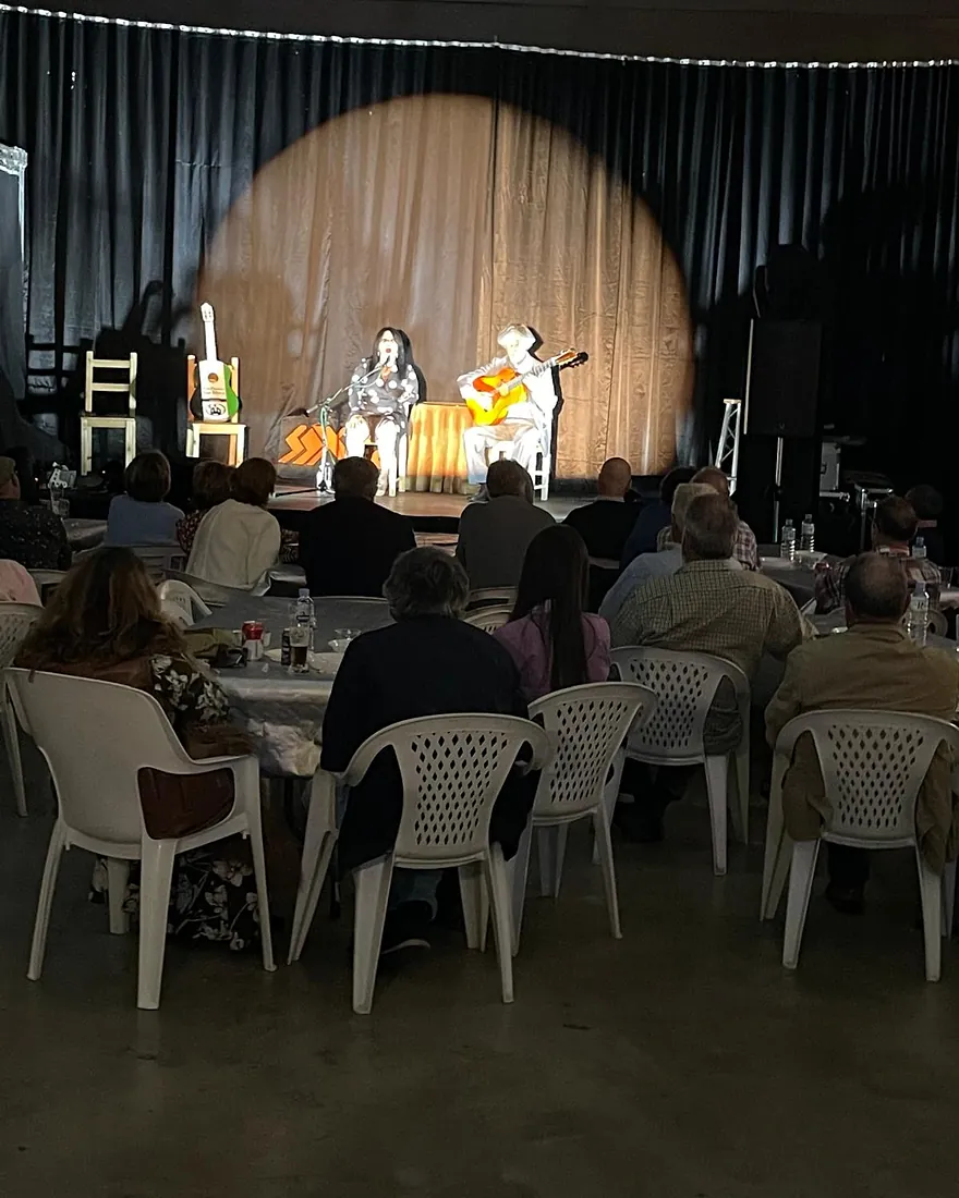 Actuación de guitarra y voz en el escenario del espacio para eventos, con público